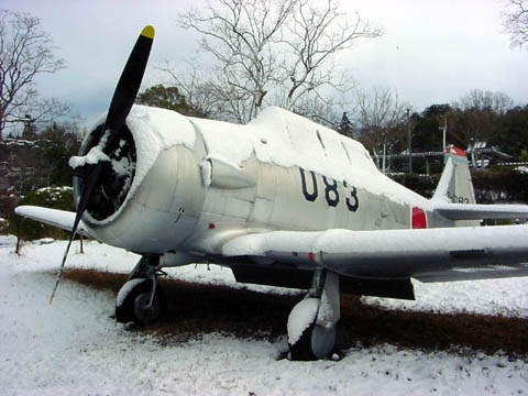 T-6G in the Snow